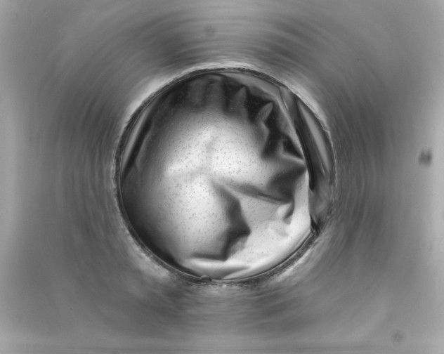 X0000090480797200708102155