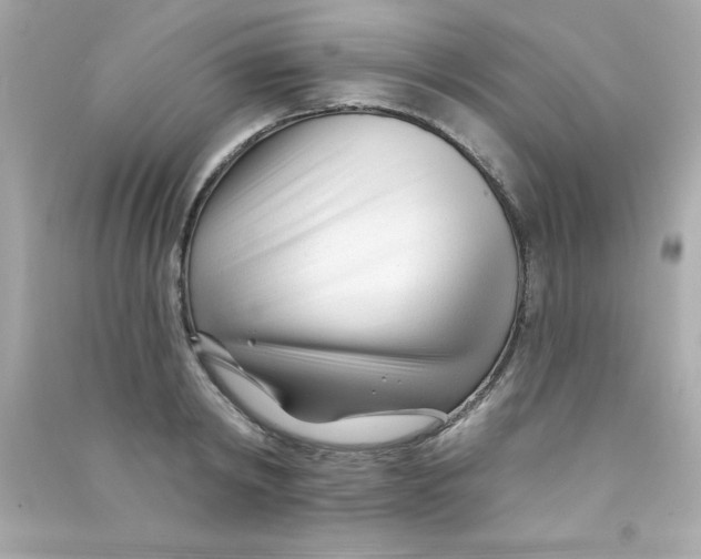 X0000090480798200708102155