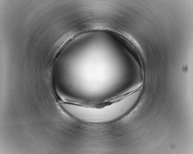 X0000090480801200708102155