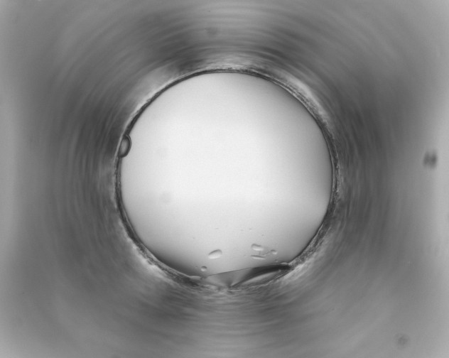 X0000090480802200708102155