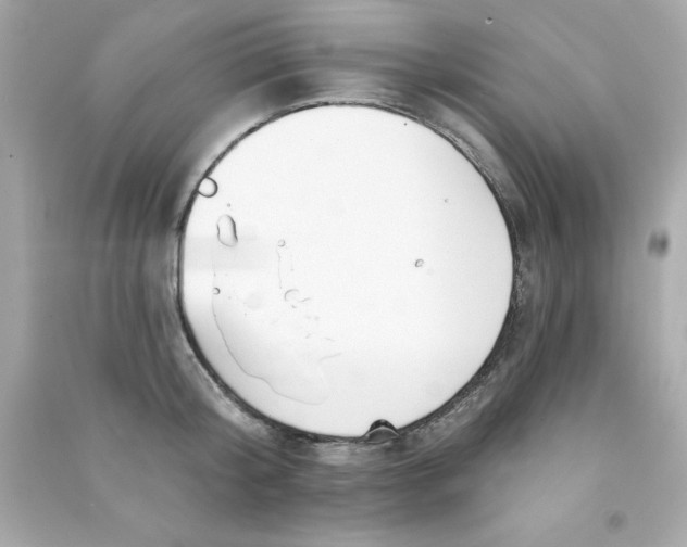 X0000090480804200708102155