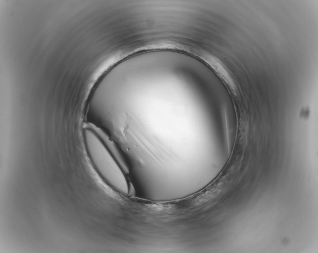 X0000090480805200708102155