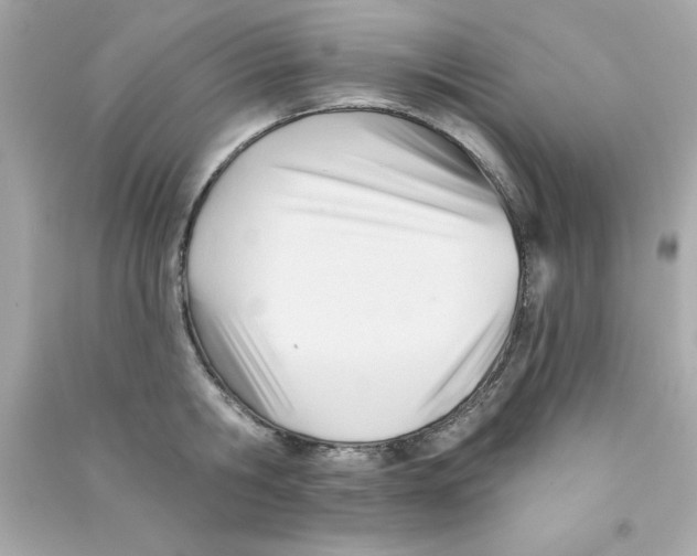 X0000090480806200708102155