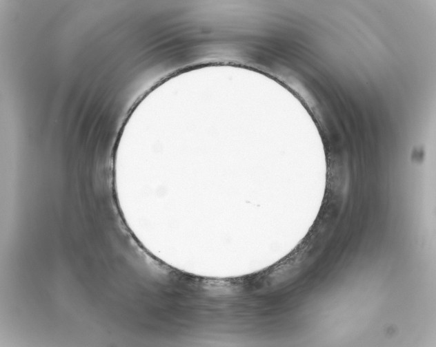 X0000090480807200708102155