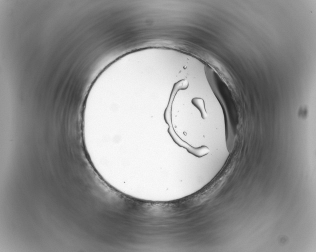 X0000090480808200708102155