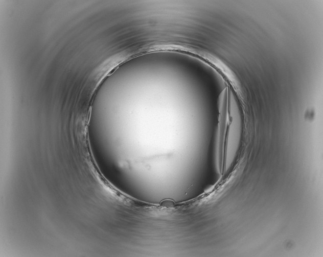 X0000090480809200708102155