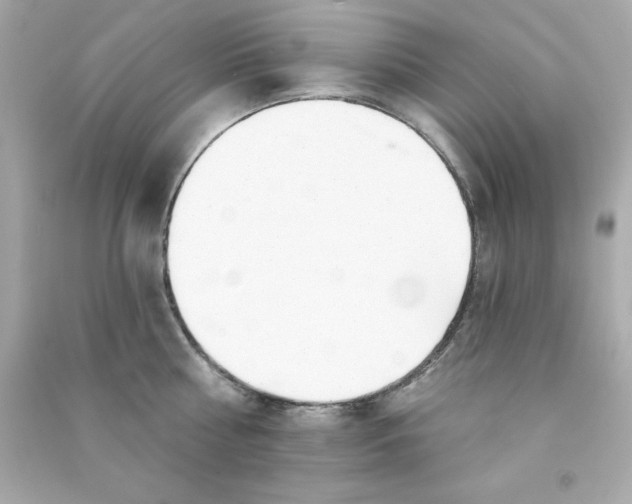 X0000090480810200708102155
