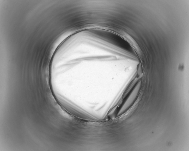 X0000090480812200708102155