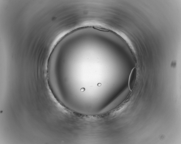 X0000090480815200708102155