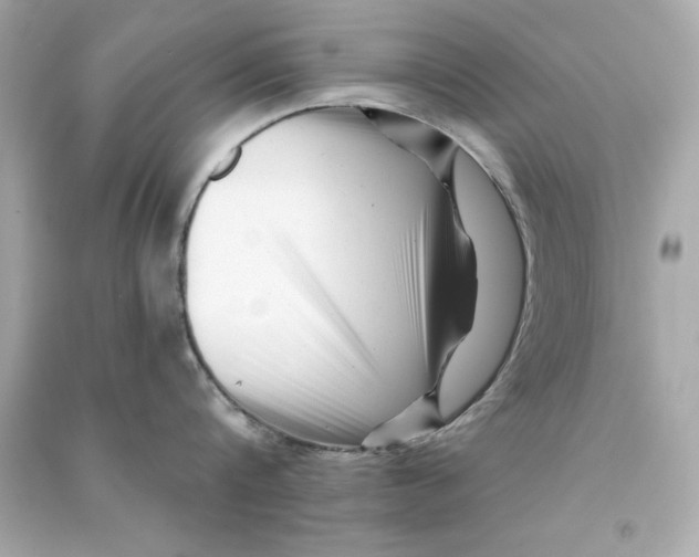 X0000090480816200708102155