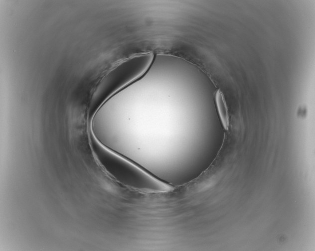X0000090480818200708102155