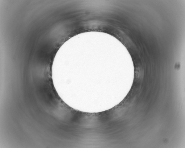 X0000090480820200708102155