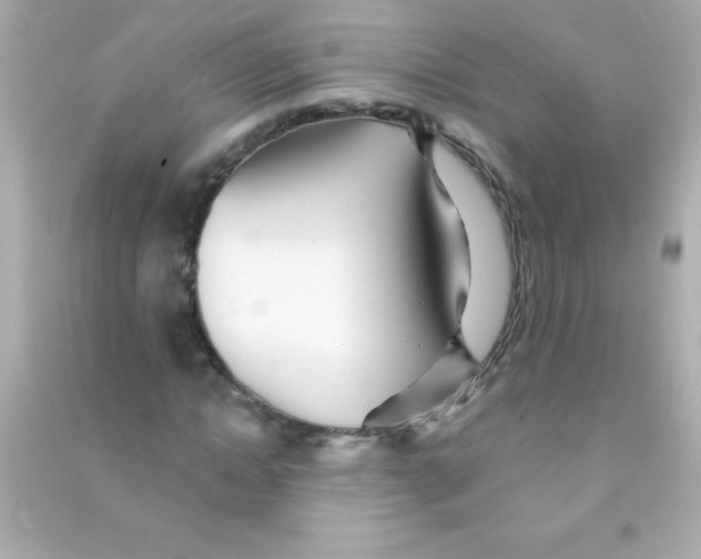 X0000090480822200708102155