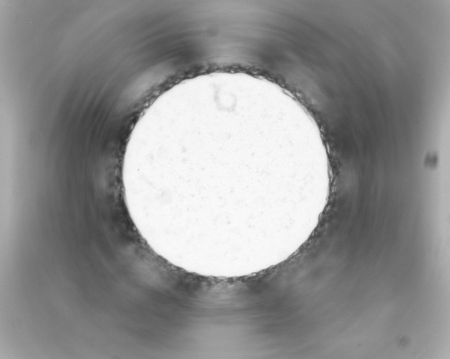 X0000090480824200708102155