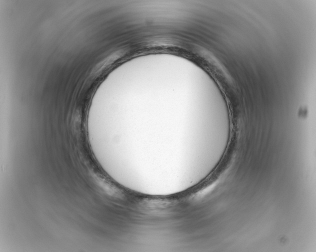 X0000090480825200708102155
