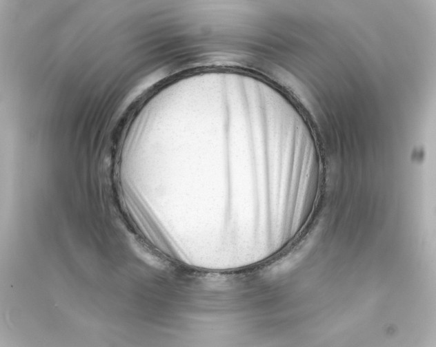 X0000090480827200708102155