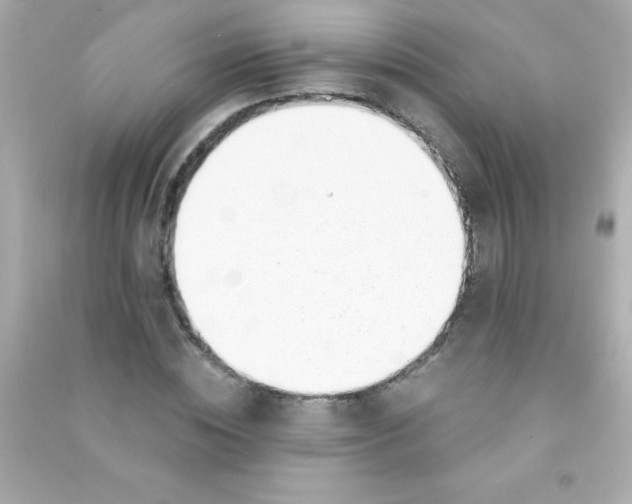 X0000090480828200708102155