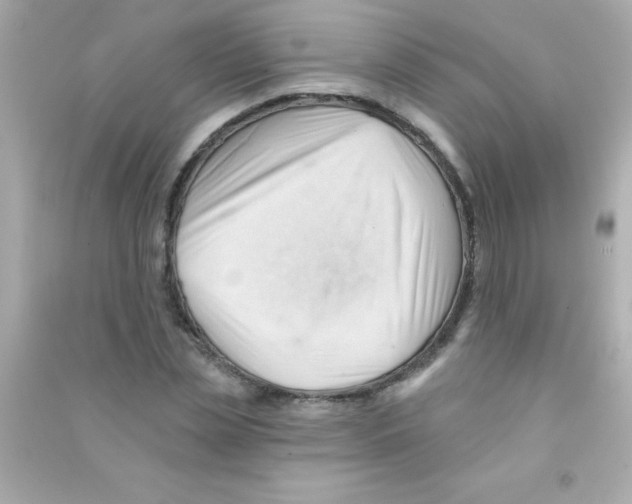 X0000090480829200708102155