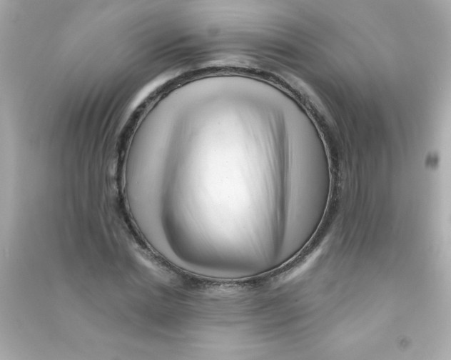 X0000090480830200708102155