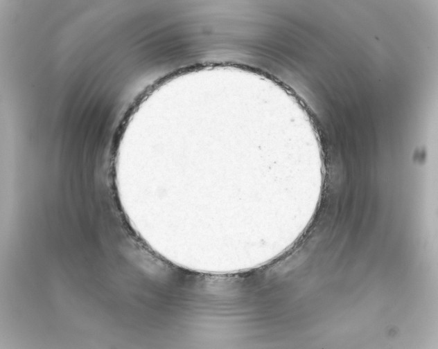 X0000090480832200708102155