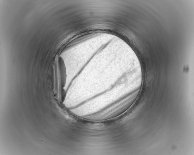 X0000090480833200708102155