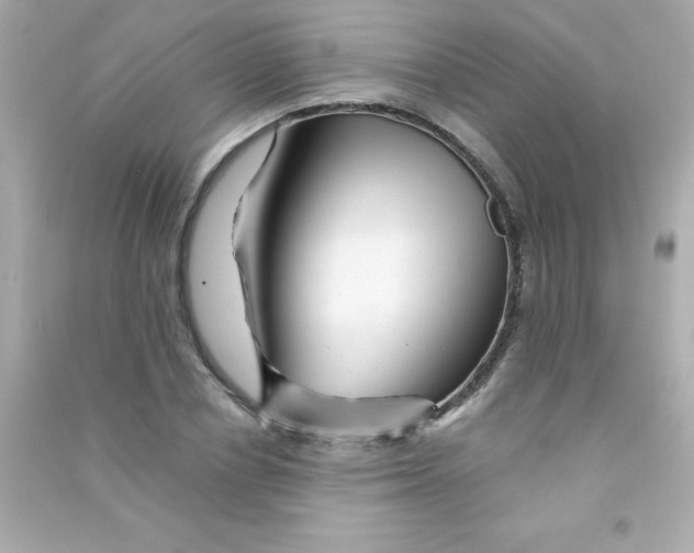 X0000090480834200708102155