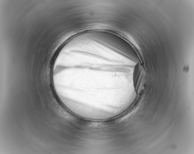 X0000090480835200708102155