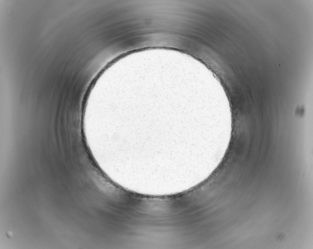 X0000090480836200708102155