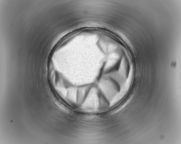X0000090480837200708102155