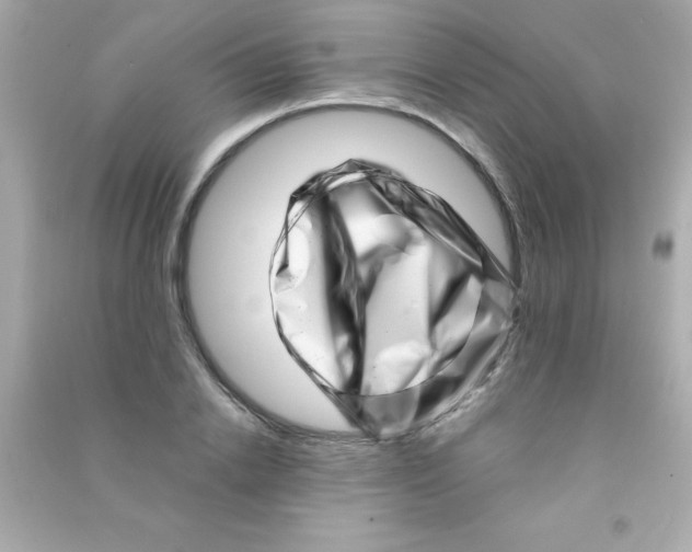 X0000090480838200708102155