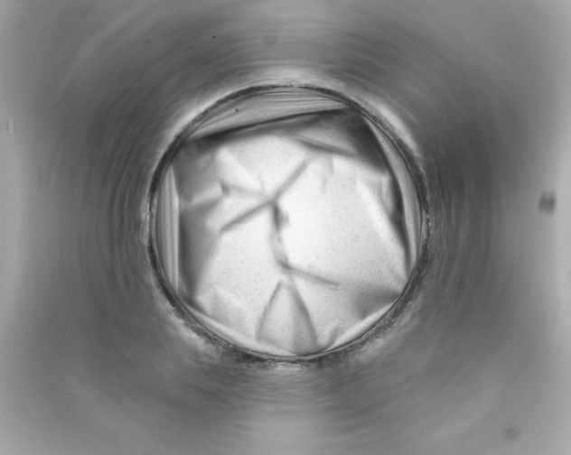 X0000090480839200708102155