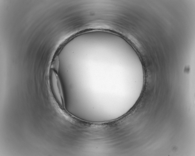 X0000090480840200708102155
