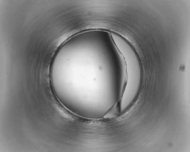X0000090480842200708102155