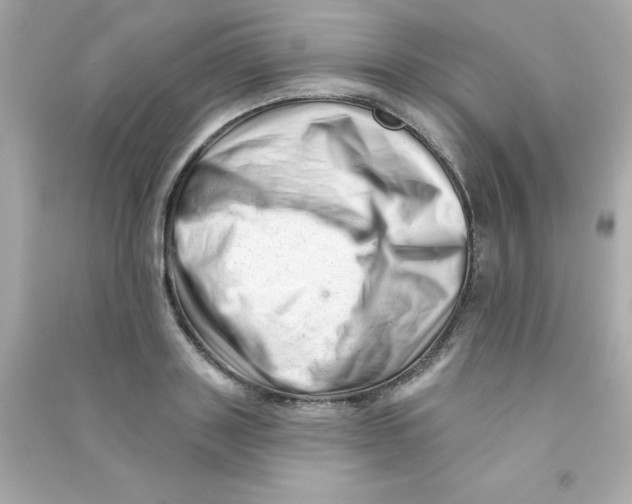 X0000090480843200708102155