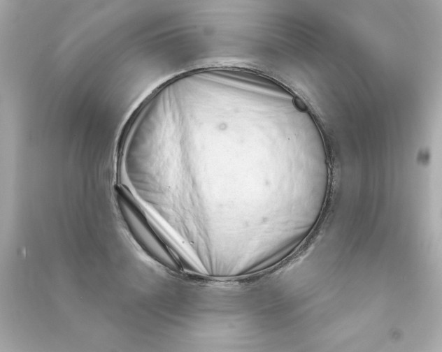 X0000090480844200708102155