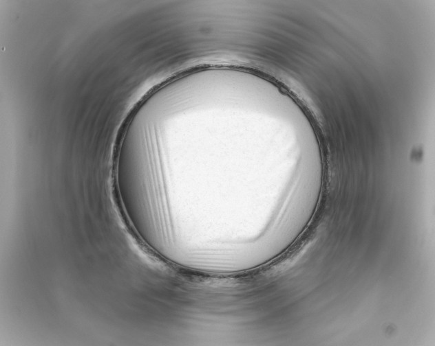 X0000090480845200708102155