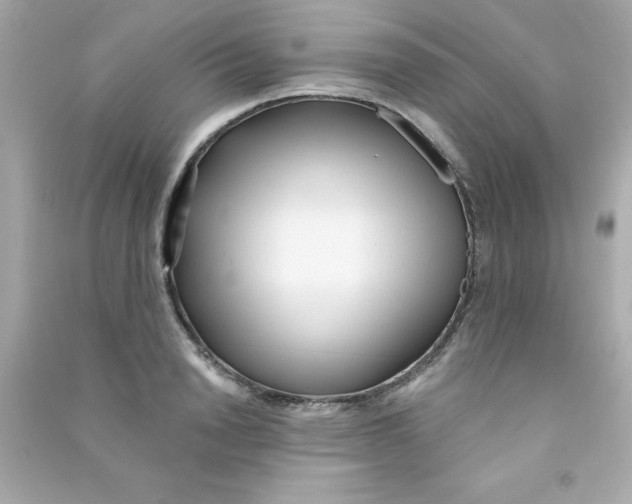 X0000090480846200708102155