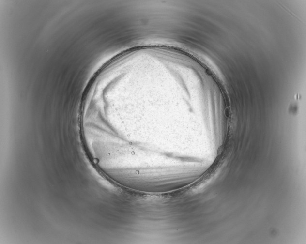 X0000090480847200708102155