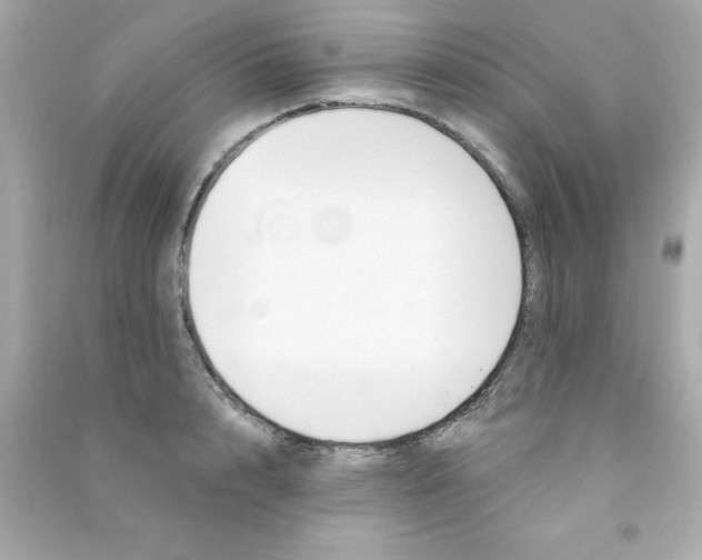 X0000090480848200708102155