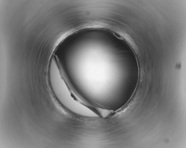 X0000090480850200708102155