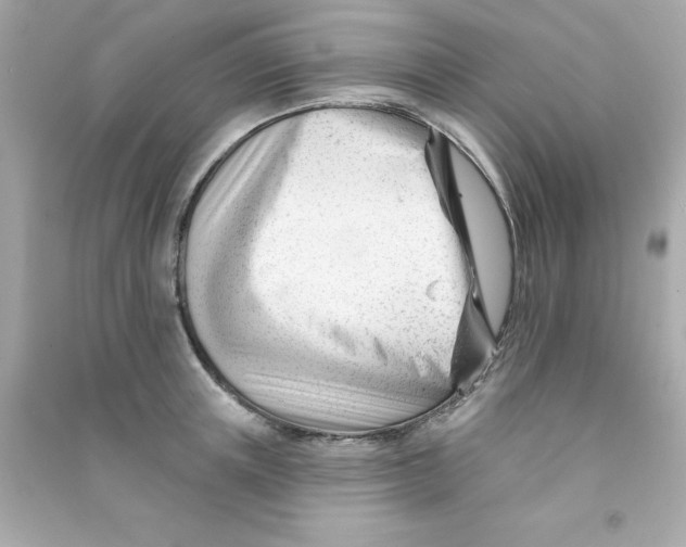 X0000090480851200708102155