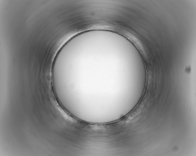 X0000090480852200708102155