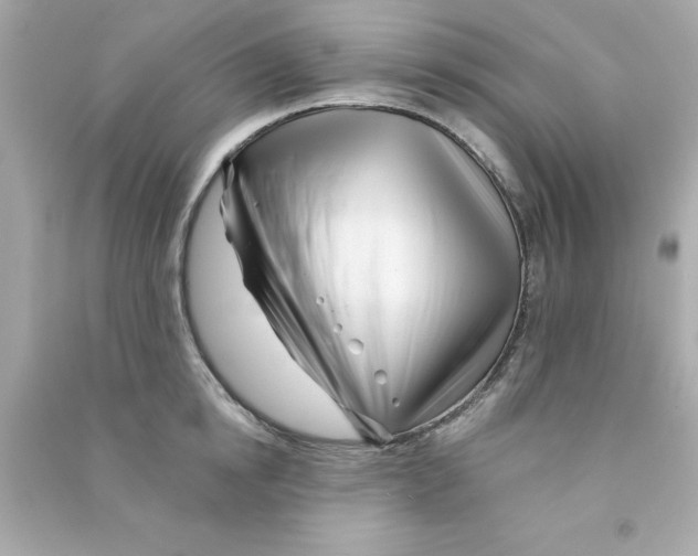 X0000090480854200708102155