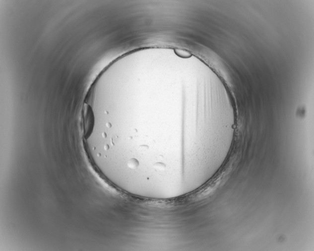 X0000090480855200708102155
