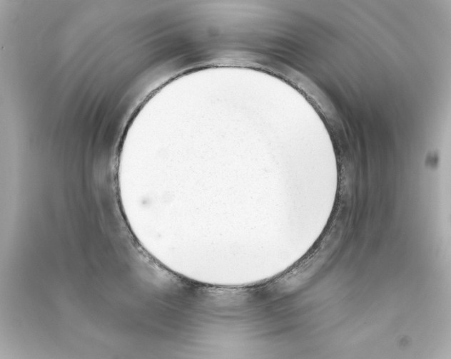 X0000090480856200708102155