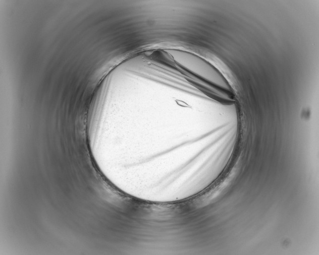 X0000090480857200708102155