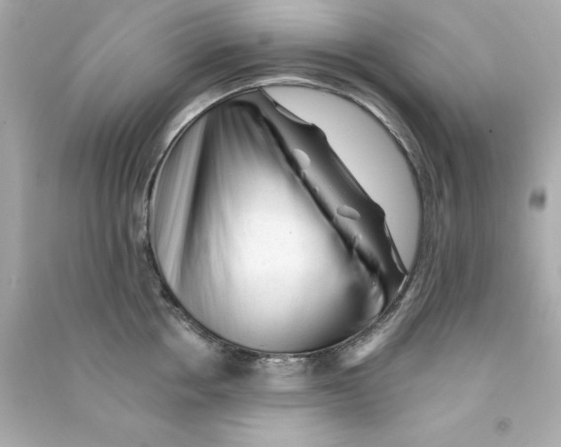X0000090480858200708102155