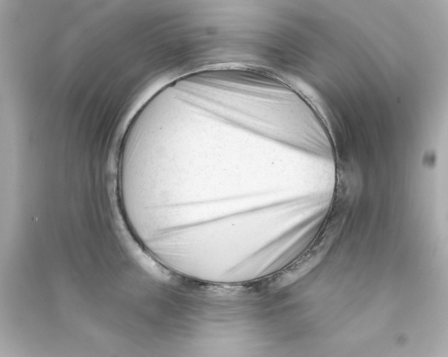X0000090480859200708102155