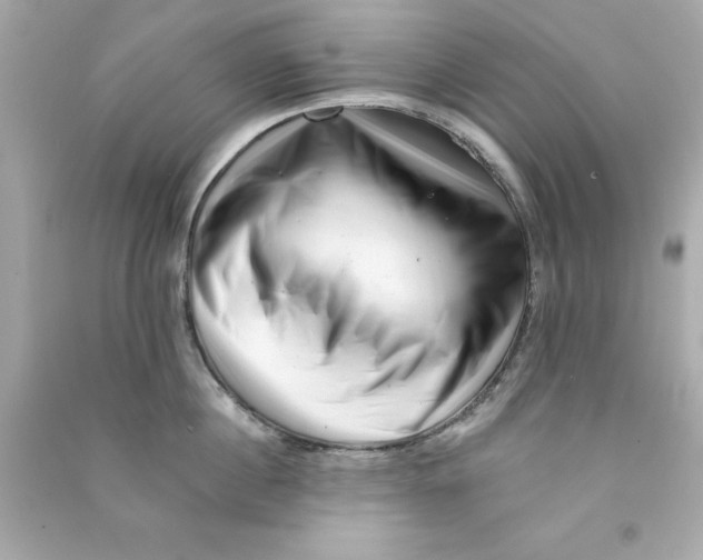 X0000090480860200708102155