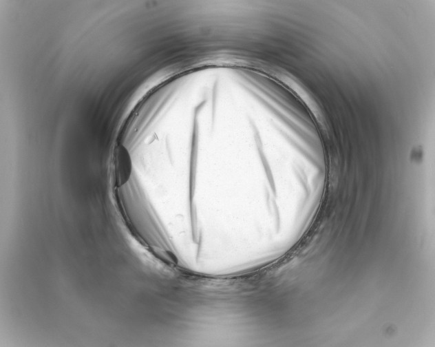 X0000090480861200708102155